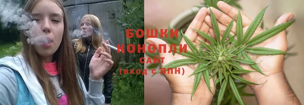 меф Пересвет