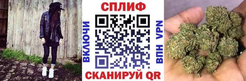 Шишки марихуана сатива  Лермонтов 